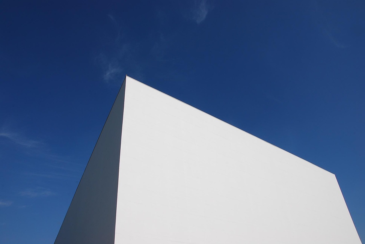 Arquitetura modernista brasilia df niemeyer edificio governo profissional freelancer trabalho