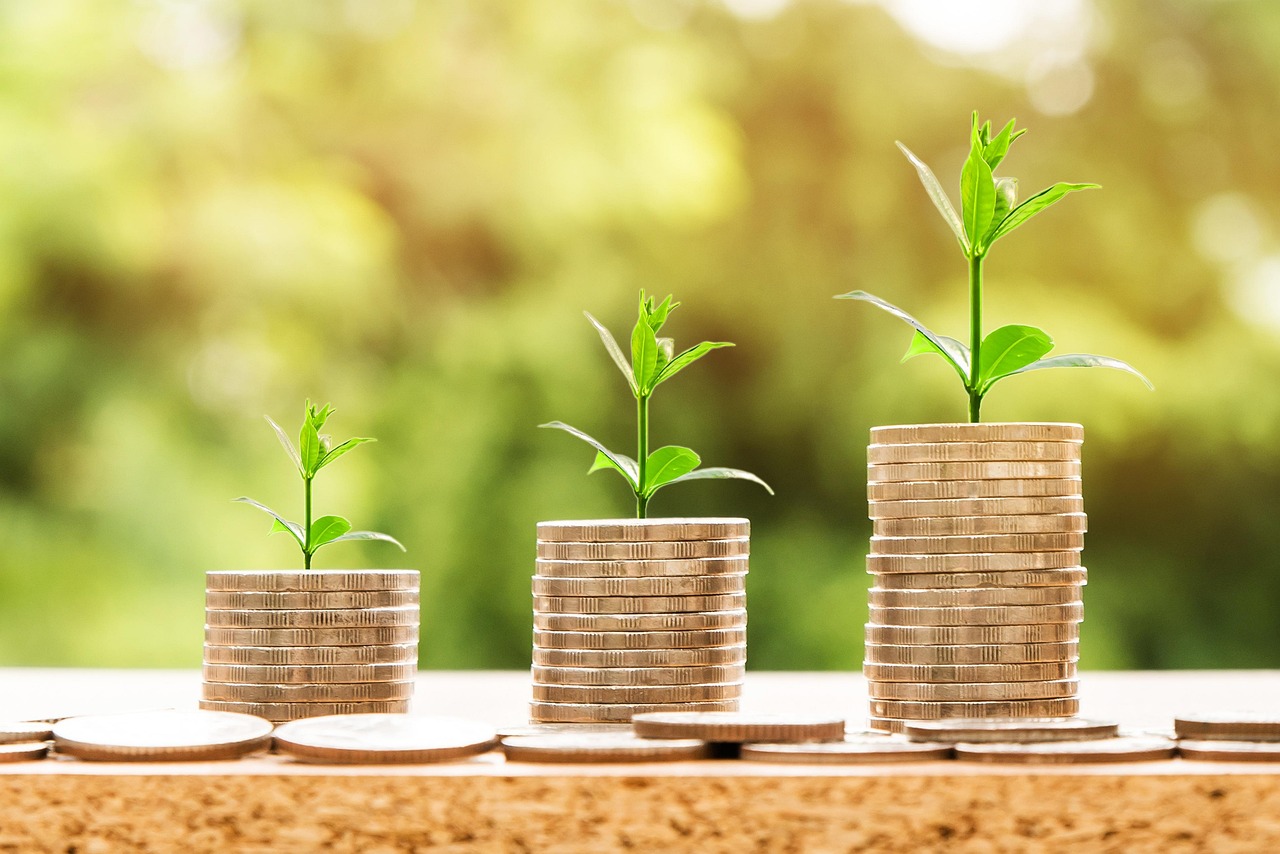 Dinheiro crescimento financeiro renda extra investimento retorno economia sucesso