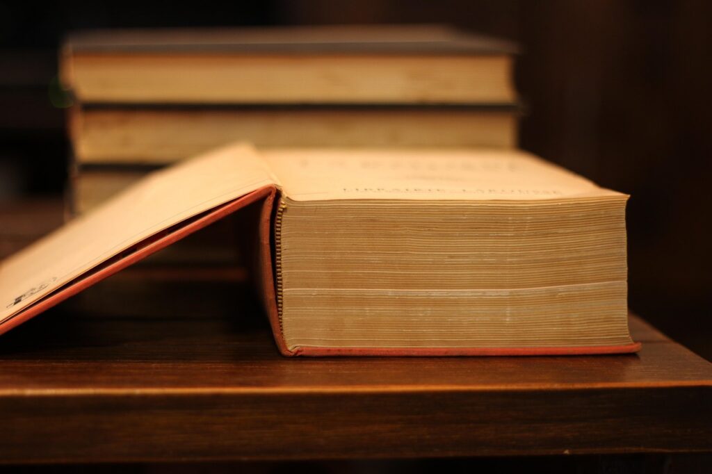 Livros dicionario idiomas traducao frances lingua conhecimento estudo